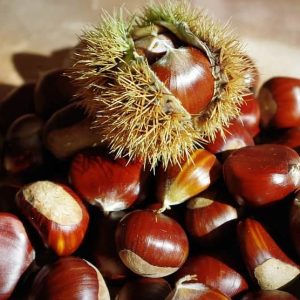 Castanhas