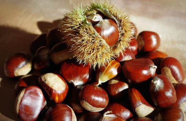 Castanhas