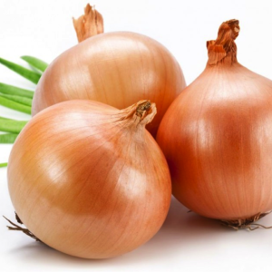 Cebola
