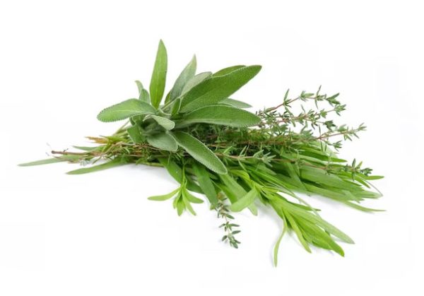 Aromaticas Molho