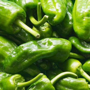 Pimento Padron