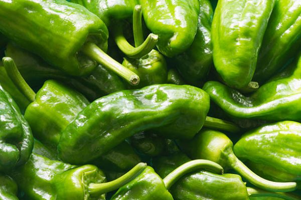Pimento Padron