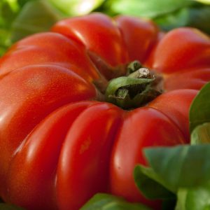 Tomate Coração de Boi
