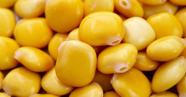 Tremoços